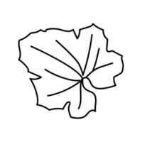 feuille melon cantaloup ligne icône illustration vectorielle vecteur