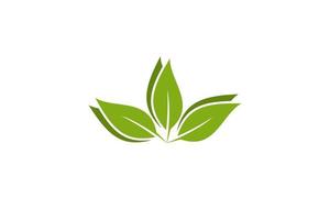 logo bio feuille d'arbre vert vecteur