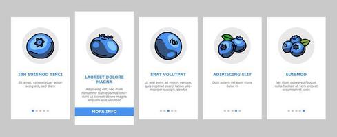 myrtille biberry blue berry onboarding icons set vector