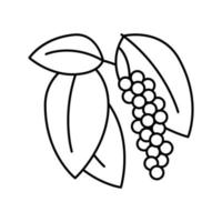 inflorescence poivre ligne icône illustration vectorielle vecteur