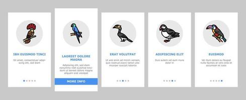 oiseau exotique animal nature sauvage onboarding icons set vector