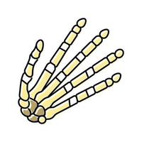 illustration vectorielle d'icône de couleur d'os de main vecteur