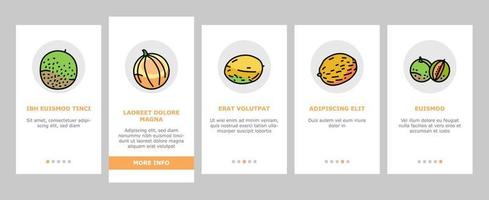 melon cantaloup fruits jaunes onboarding icons set vector