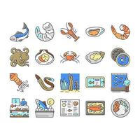 icônes de menu de plat de fruits de mer cuisinés set vector