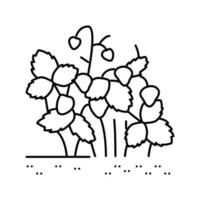 illustration vectorielle de l'icône de la ligne de l'usine de buisson de fraises vecteur