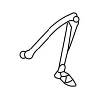 illustration vectorielle d'icône de ligne d'os de jambe vecteur