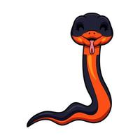 dessin animé mignon de serpent à collier vecteur