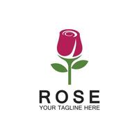 logo rose fleur vecteur icône illustration design