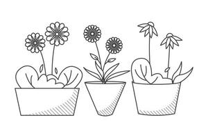fleurs de doodle dessinés à la main en illustration de pot vecteur