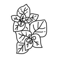 icône de l'origan. style d'icône dessiné à la main ou contour doodle vecteur