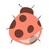 vecteur illustration de une coccinelle. plat style, sur une blanc Contexte.