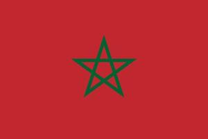 illustration simple du drapeau du maroc pour le jour de lindépendance ou les élections vecteur