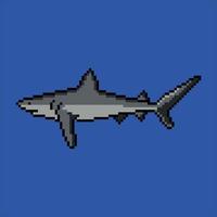 requin avec pixel art conception. vecteur illustration.