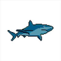 requin avec pixel art conception. vecteur illustration.