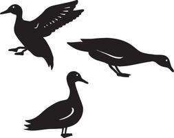 une collection de canard des illustrations dans divers postes vecteur