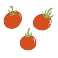 vecteur illustration de rouge tomate. Frais légume dans dessin animé plat style. végétalien ensemble isolé sur blanc arrière-plan, en bonne santé végétalien aliments.