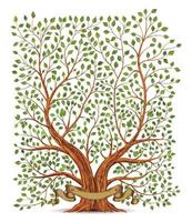 vieux ancien arbre vecteur illustration