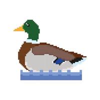 8 bits pixels art canard vecteur, canard pixel art conception vecteur