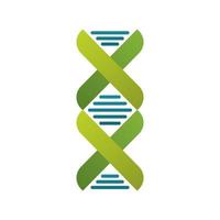 Icône isolée de structure de molécule d'ADN vecteur