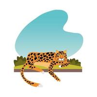 icône d'animal félin léopard sauvage vecteur
