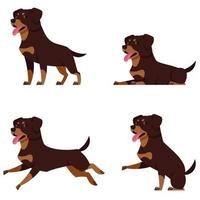 rottweiler dans différentes poses. vecteur