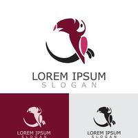 toucan Facile logo conception image oiseau vecteur illustration