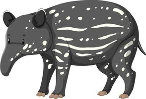 Bébé tapir animal sauvage sur fond blanc vecteur