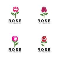 logo rose fleur vecteur icône illustration design