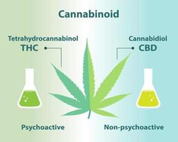 le différences entre cannabinoïde dans cannabis vecteur illustration.