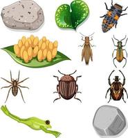 différents types d'insectes avec des éléments de la nature vecteur