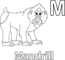 mandrill alphabet abc isolé coloration page m vecteur