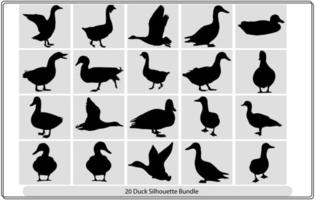 silhouettes de canard sauvage et domestique. canard en vol. vecteur