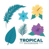 jeu d'icônes de fond tropical vecteur