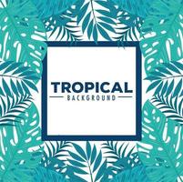 fond de feuillage tropical avec des feuilles vertes vecteur