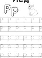 porc animal tracé lettre abc coloration page p vecteur