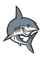 requin mascotte sport logo style vecteur
