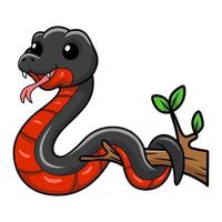 mignonne rouge ventre noir serpent dessin animé sur arbre branche vecteur