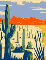 Parc national de Saguaro avec cactus géant saguaro dans le désert de Sonora comté de Pima arizona affiche art vecteur