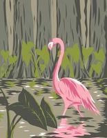 Flamant rose dans le parc national des Everglades situé en Floride États-Unis d'Amérique art de l'affiche wpa vecteur