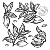 cacao collection monochrome agrafe art vecteur illustration ensemble