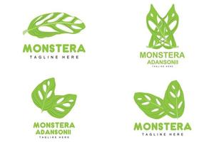 logo de feuille de monstera adansonii, vecteur de plante verte, vecteur d'arbre, illustration de feuille rare