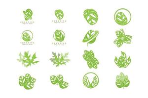 logo de feuille de monstera adansonii, vecteur de plante verte, vecteur d'arbre, illustration de feuille rare