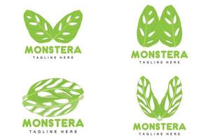 logo de feuille de monstera adansonii, vecteur de plante verte, vecteur d'arbre, illustration de feuille rare