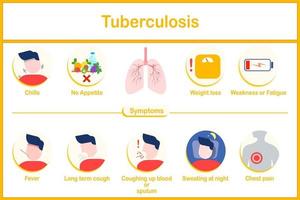 infographie de tb symptômes. fièvre, des frissons, perte de appétit, poids perte, poitrine douleur, tousser en haut sang. nuit sueurs. dans plat style. santé se soucier publicité concept. vecteur