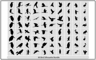 collection de différent des oiseaux silhouettes position. vecteur