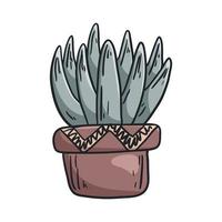 vecteur griffonnage illustration de une maison plante succulent dans une pot.