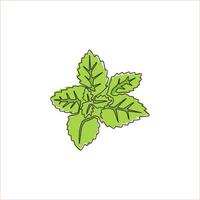 dessin au trait continu unique de feuilles de menthe biologique saine pour l'identité du logo de la ferme. concept de plante mentha fraîche pour l'icône de plantation. Une ligne moderne dessiner illustration vectorielle graphique de conception vecteur