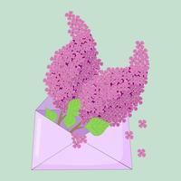 vecteur illustration lilas branche dans une papier enveloppe