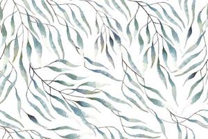 motif de feuilles d'eucalyptus dessiné à l'aquarelle vecteur