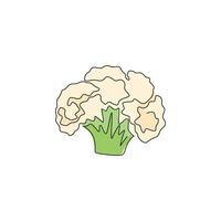 un seul dessin de chou-fleur biologique sain et entier pour l'identité du logo de la ferme. concept de brassica oleracea frais pour l'icône de légumes. ligne continue moderne dessiner illustration graphique vectorielle de conception vecteur